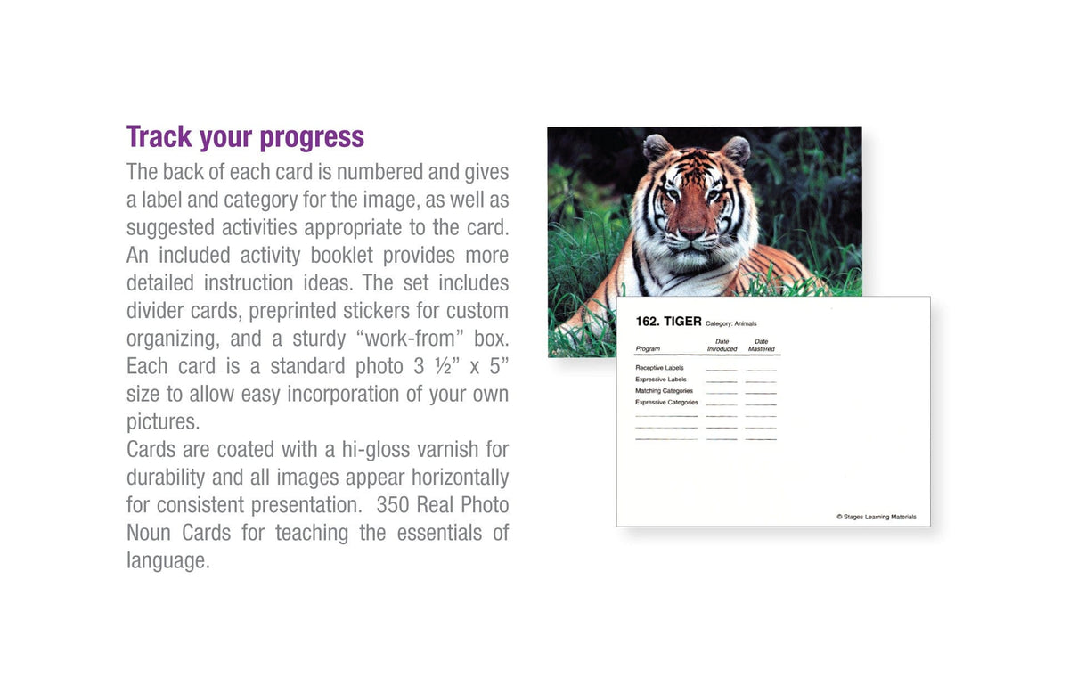 Language Builder Picture Nouns ** Back Ordered - November**