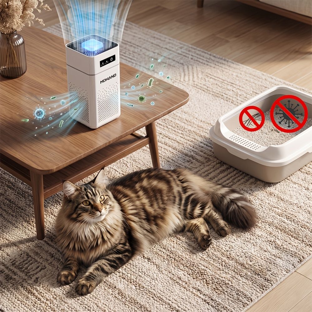 2 Pack Portable Air Purifier with Filters USB Powered Quiet 34dB