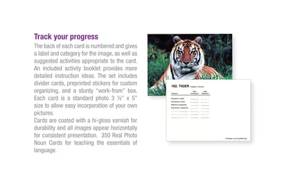 Language Builder Picture Nouns ** Back Ordered - November**